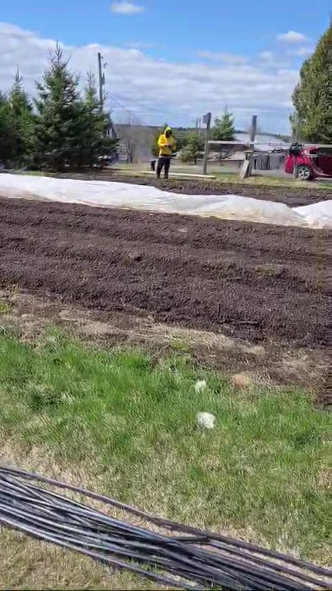 Miniature vid&eacute;o Publio par La Pomme du cerf