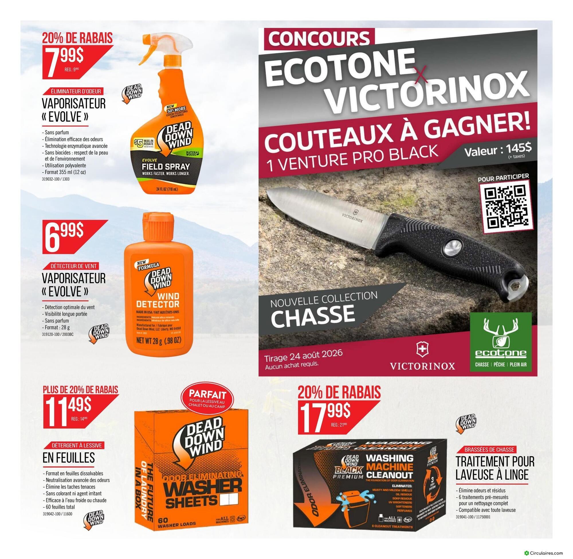 Ecotone