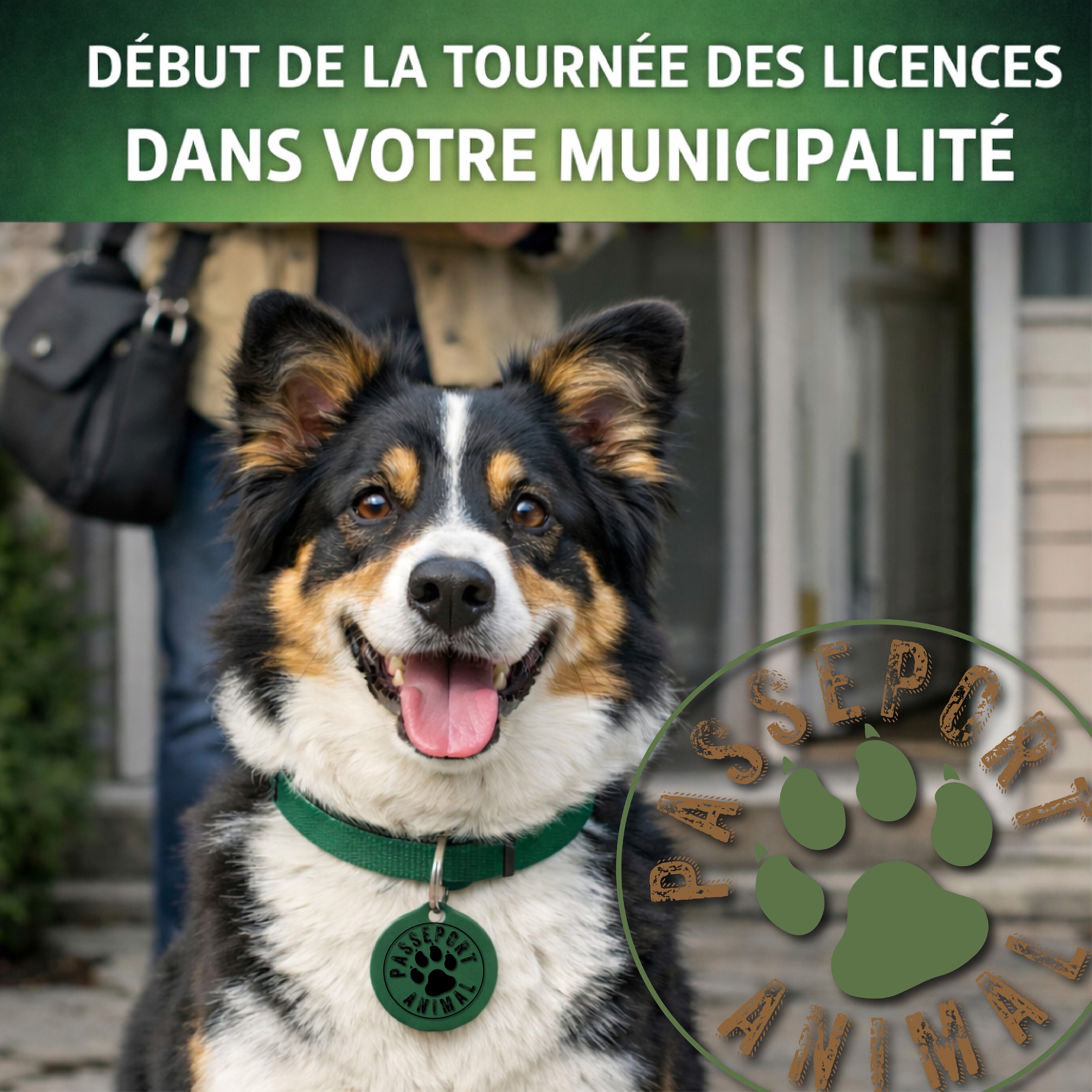 Ville de Beauceville