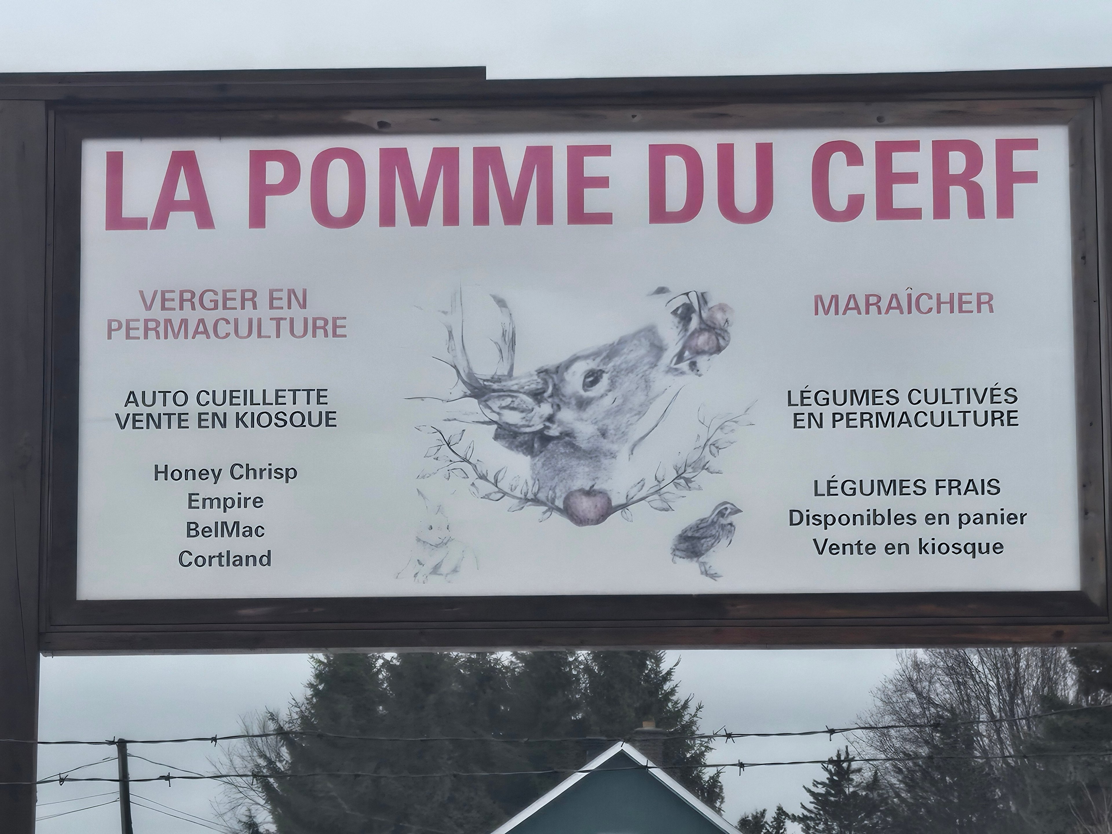 La Pomme du cerf