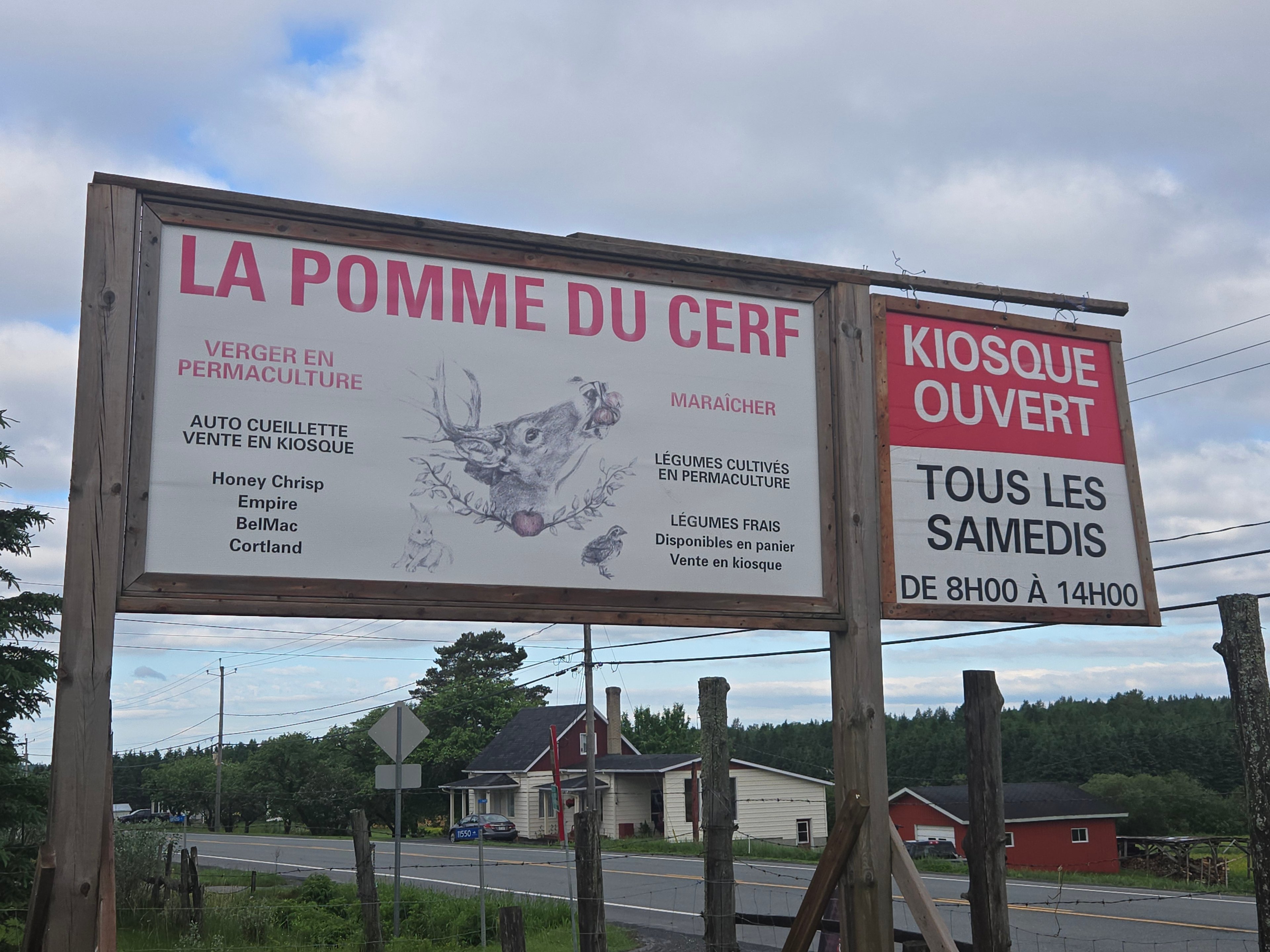 La Pomme du cerf