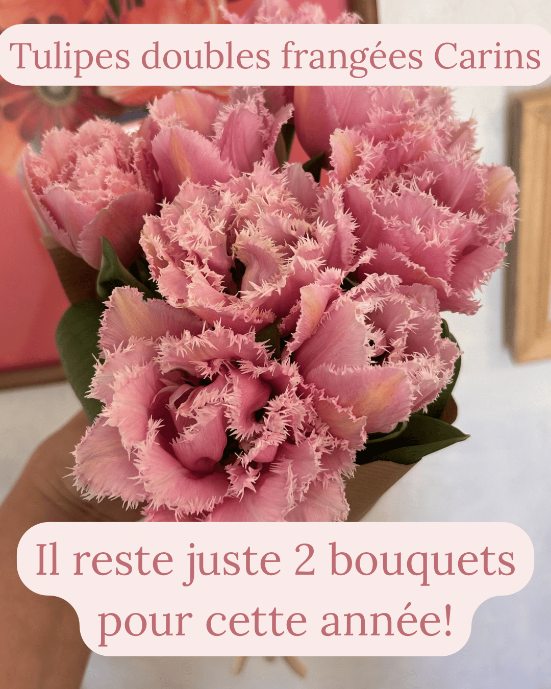 Fermette Poulin-Fleurs