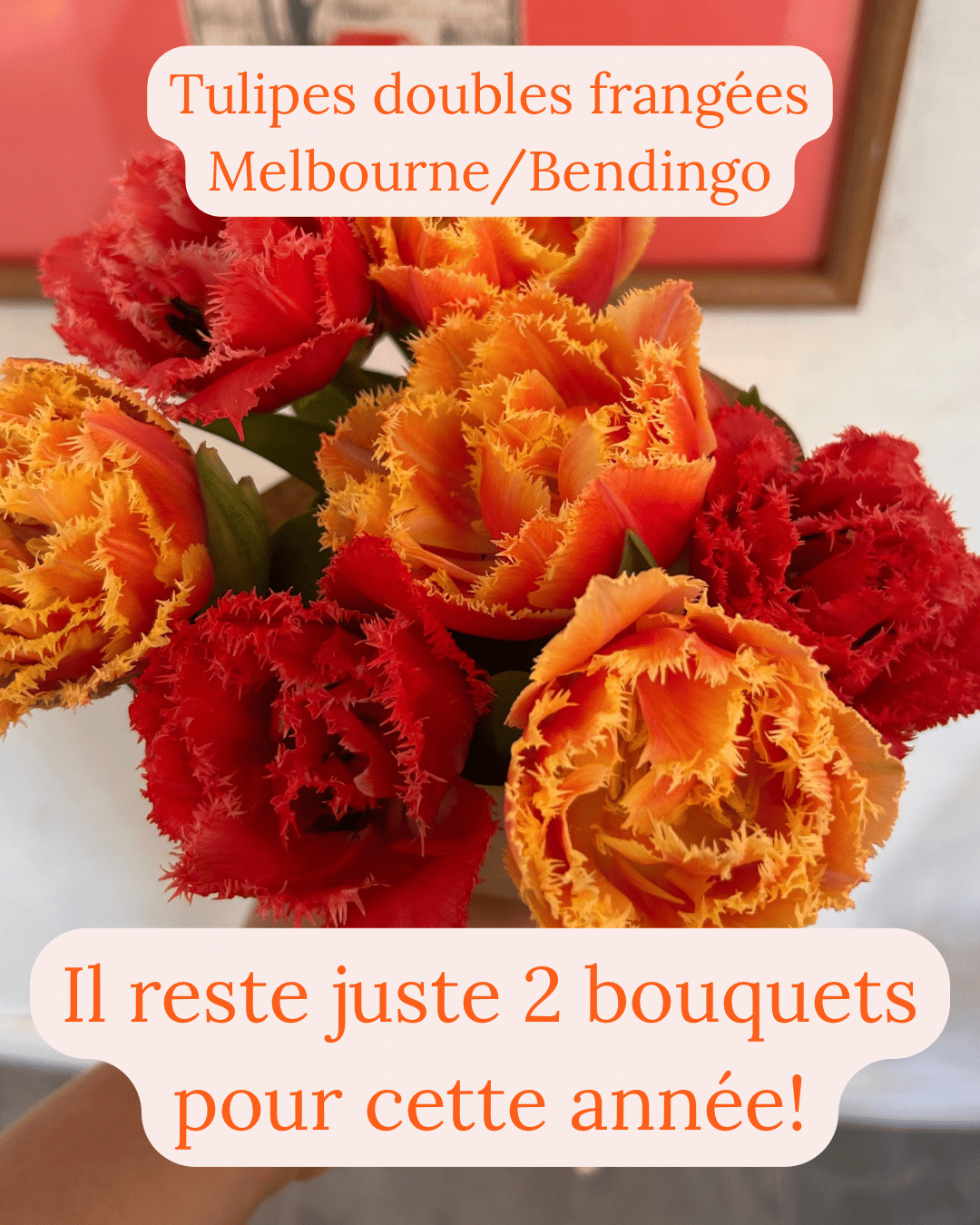 Fermette Poulin-Fleurs