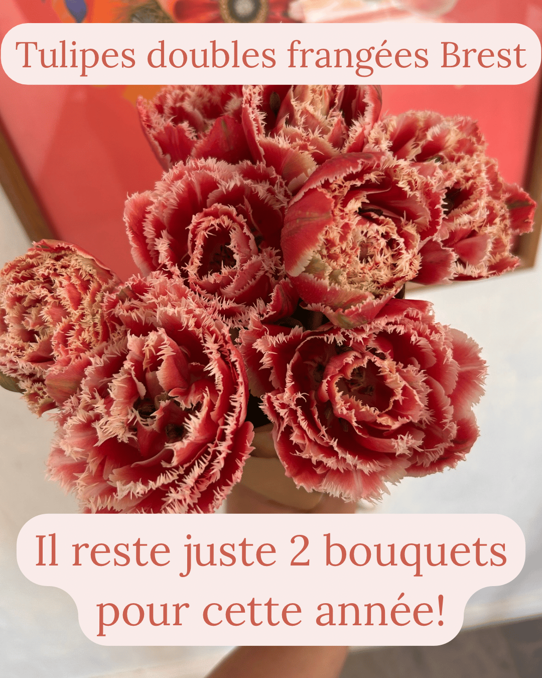 Fermette Poulin-Fleurs