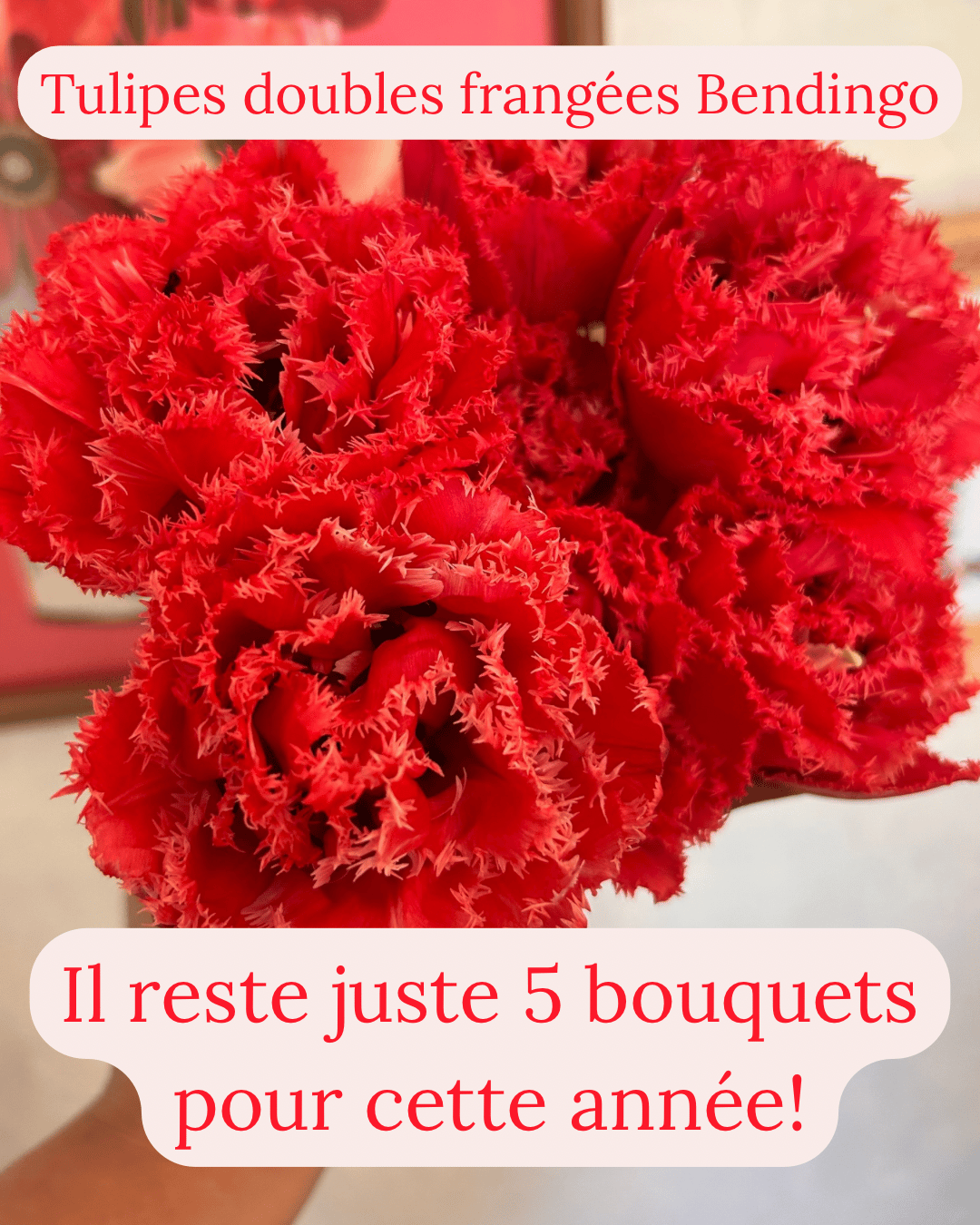 Fermette Poulin-Fleurs