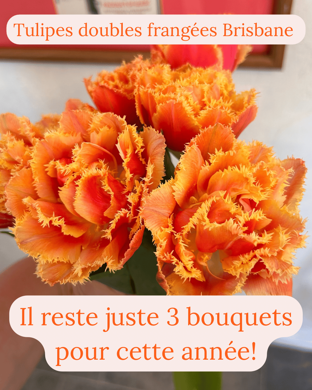 Fermette Poulin-Fleurs