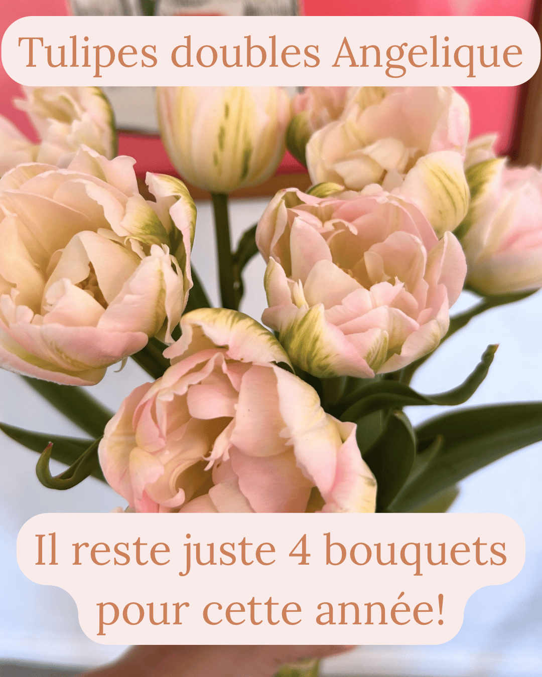 Fermette Poulin-Fleurs