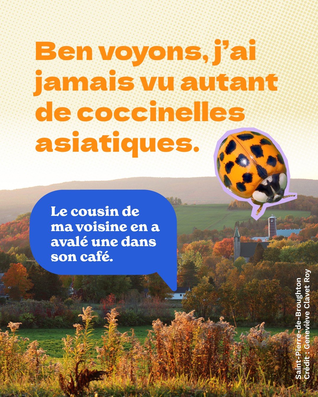 MRC Beauce-Sartigan