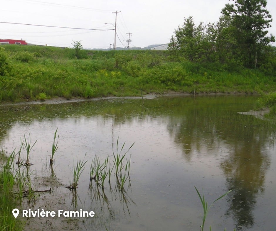 Comité de bassin de la rivière Chaudière