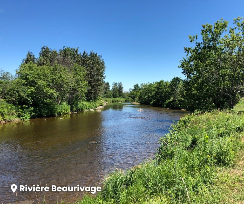 Comité de bassin de la rivière Chaudière