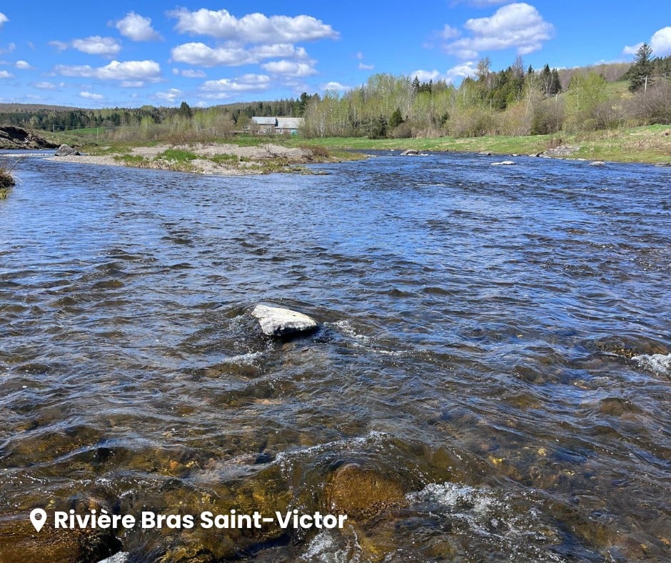 Comité de bassin de la rivière Chaudière