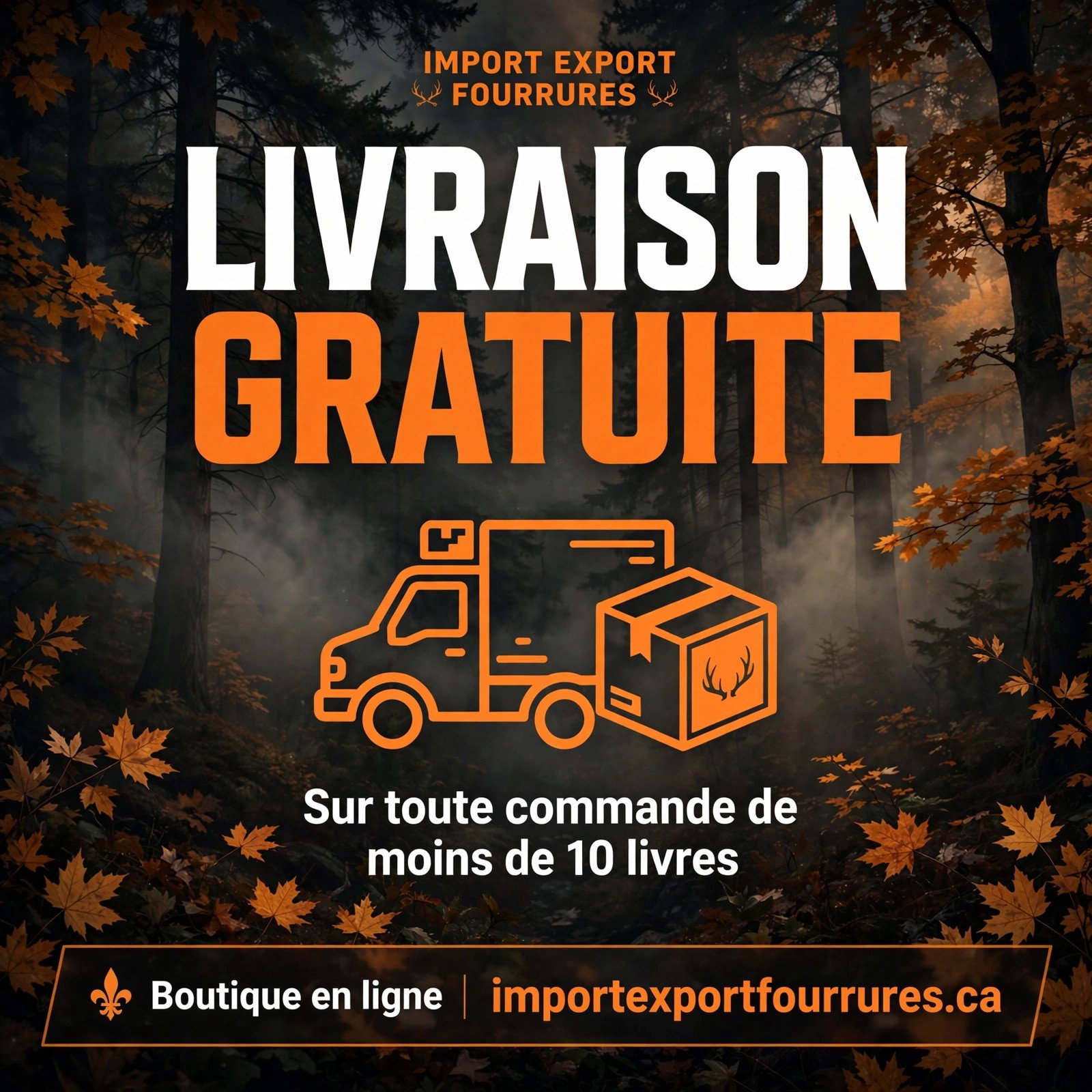 Import Export Fourrures
