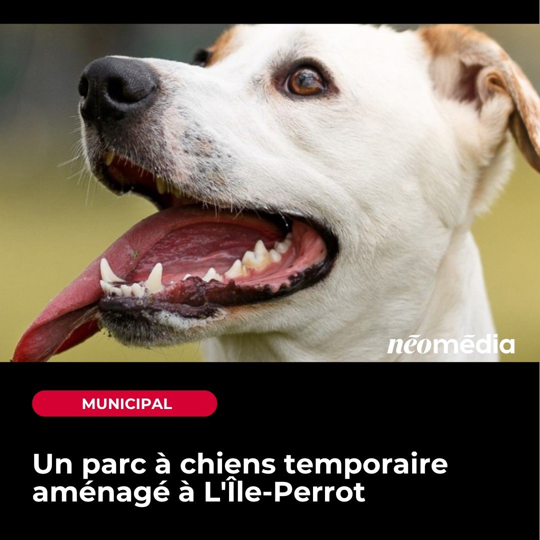 Neomedia