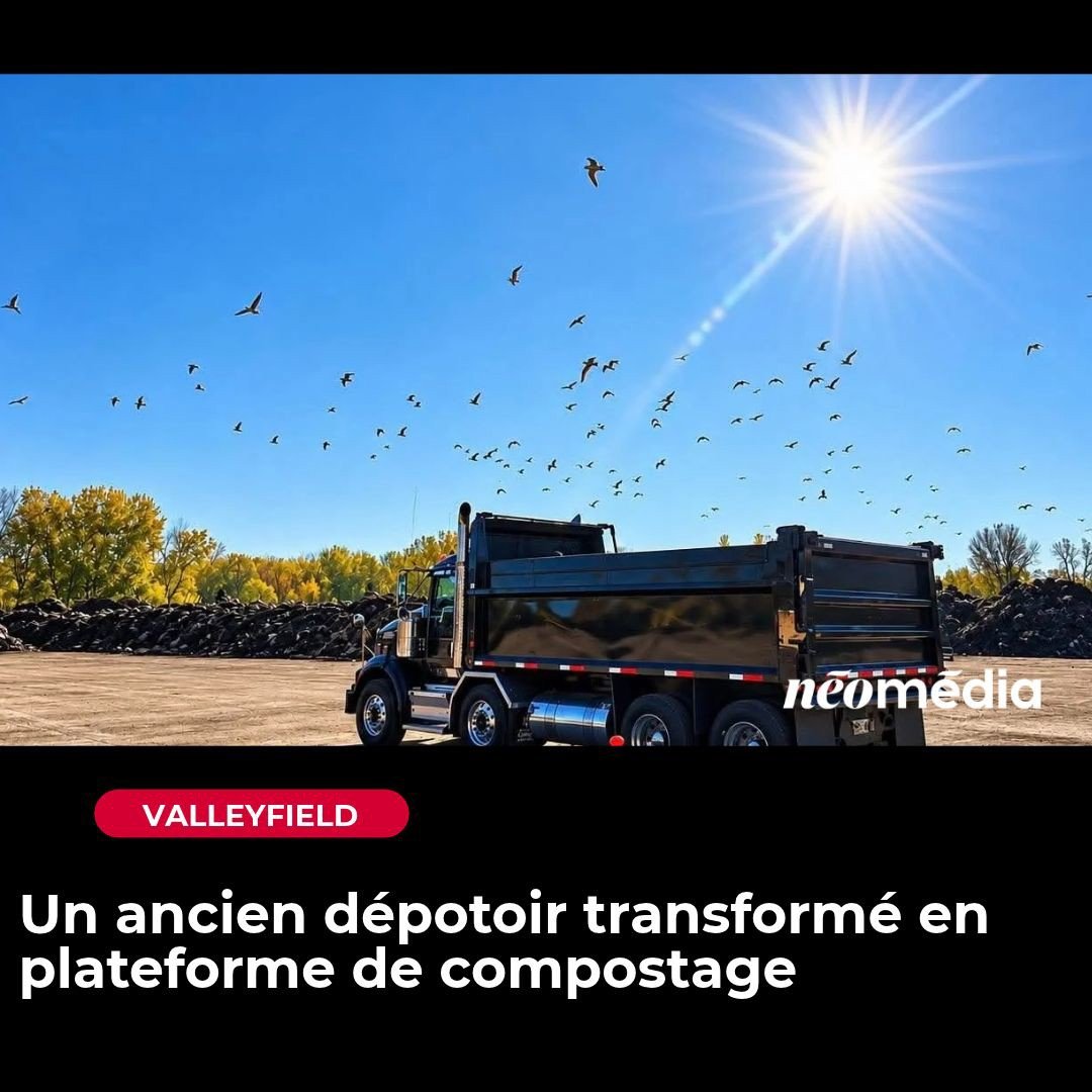 Neomedia