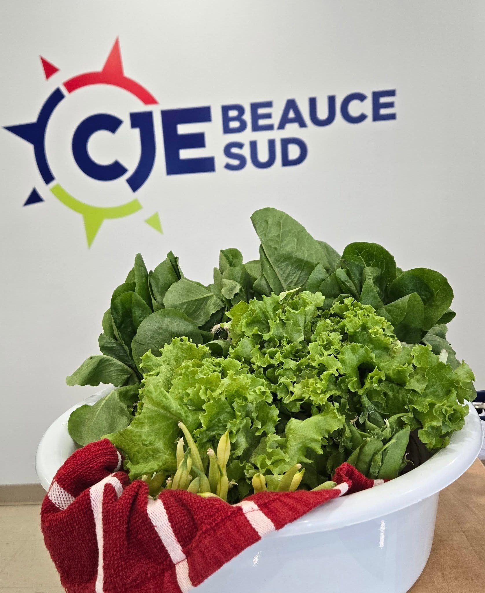 CJE Beauce-Sud 