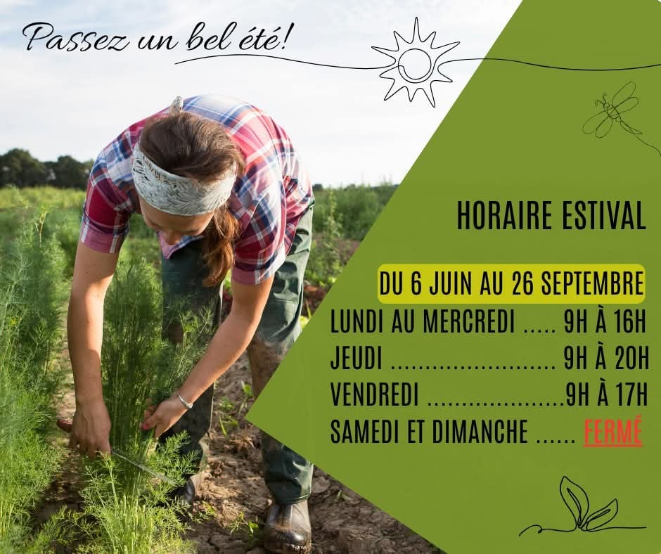 Le spécialiste du travailleur