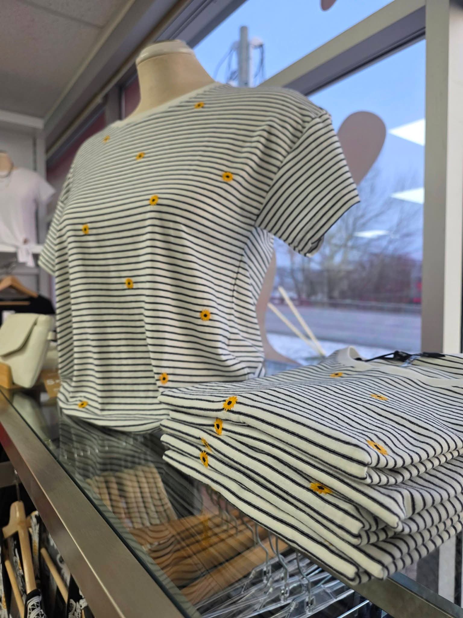 Savonnerie Histoire de Bulles