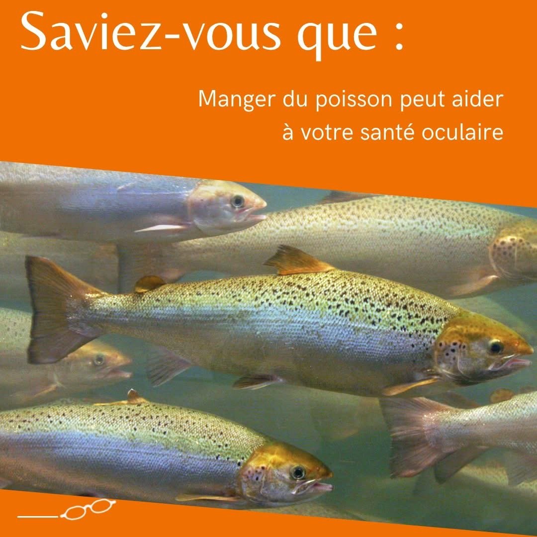 Lunetterie Zone Optique