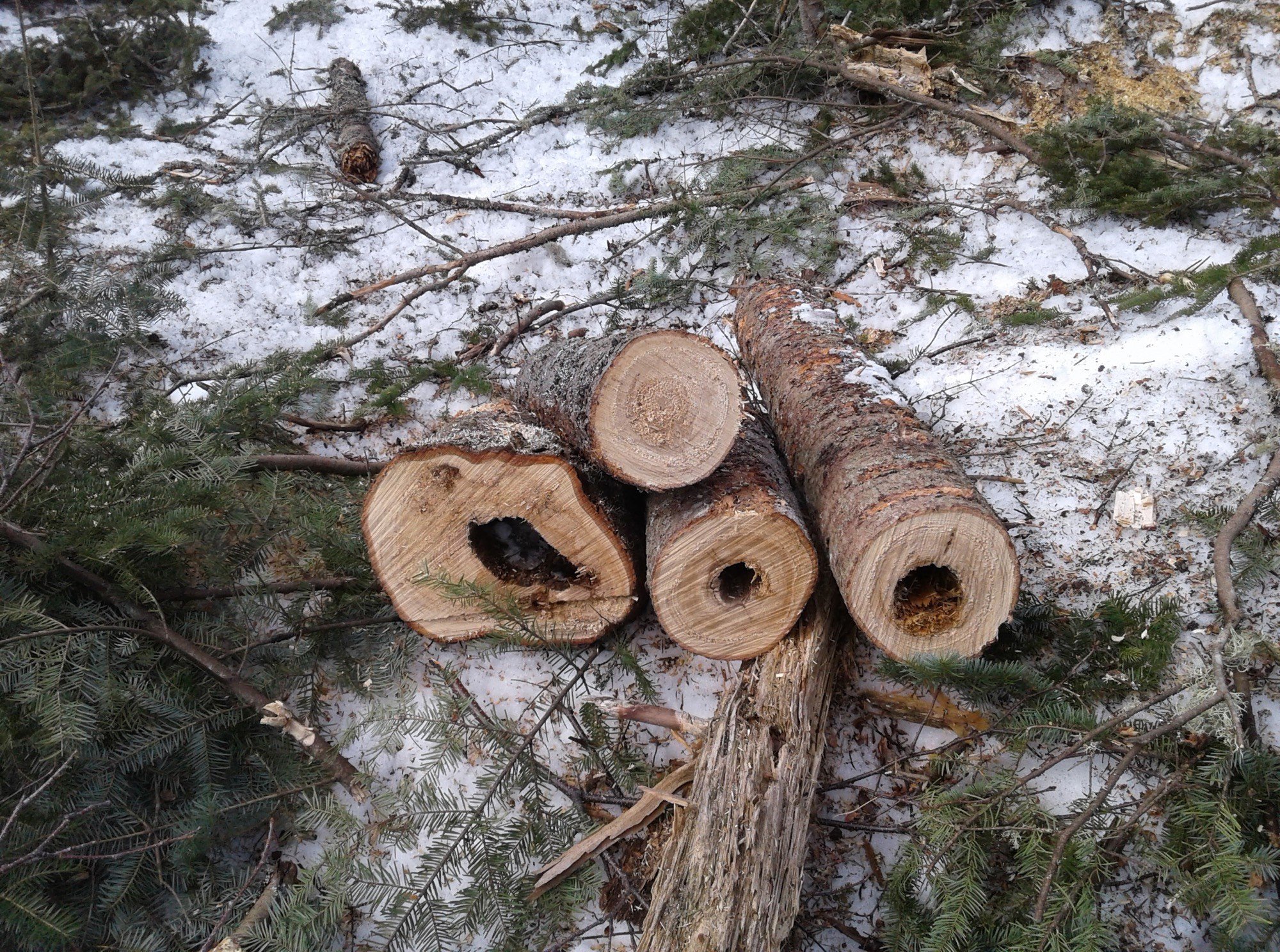 Groupement Forestier de Beauce 