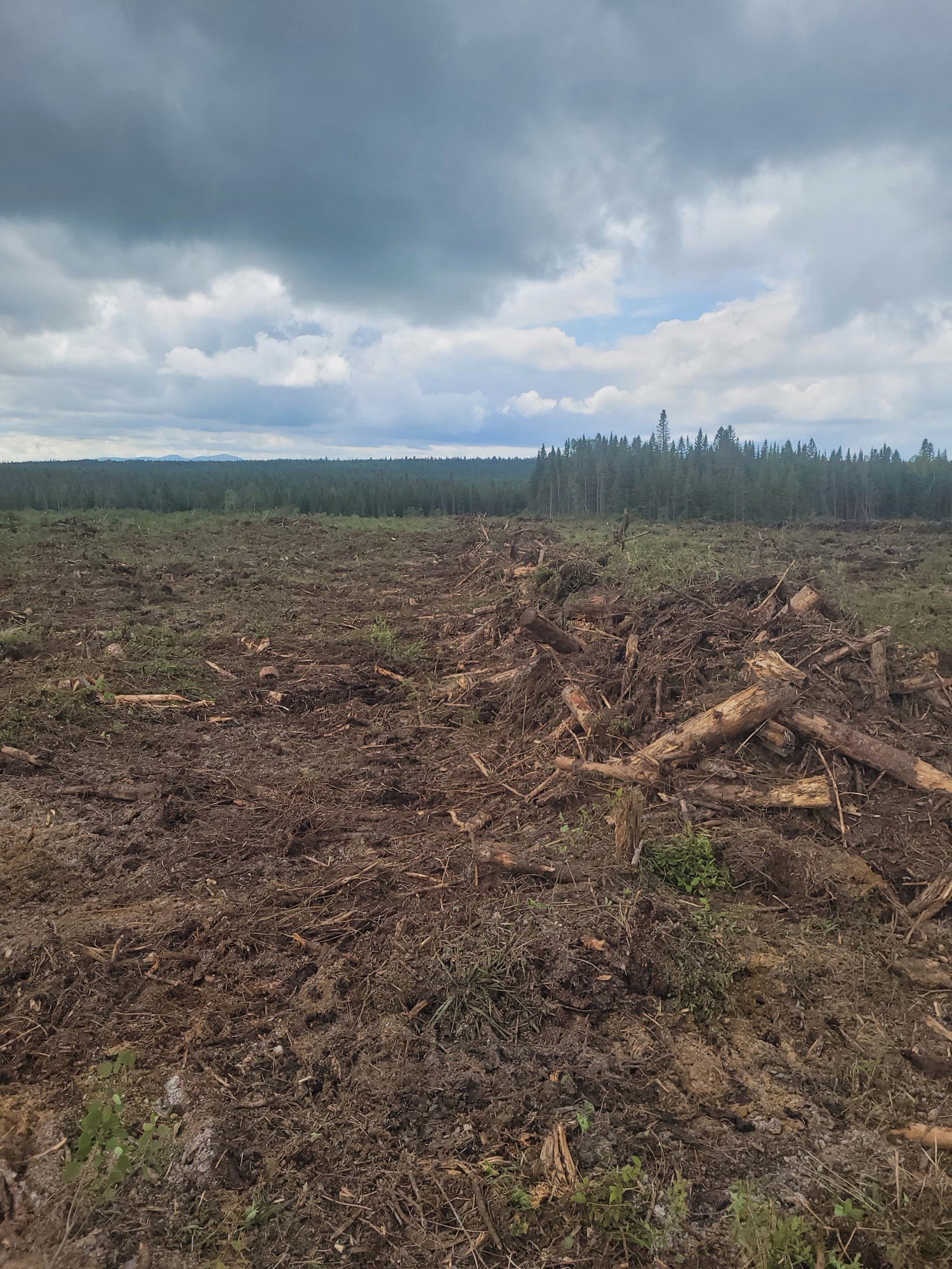 Groupement Forestier de Beauce 