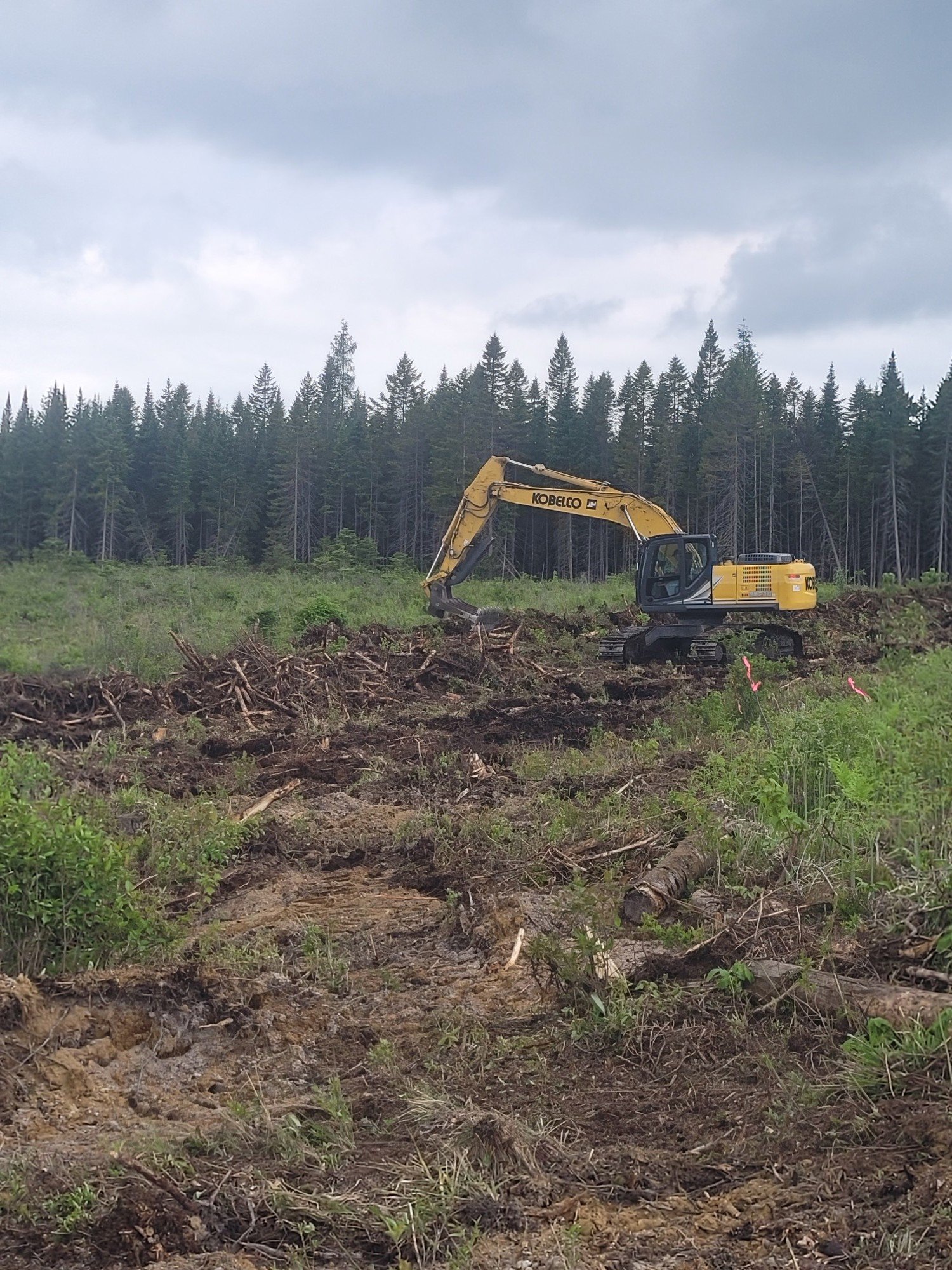 Groupement Forestier de Beauce 