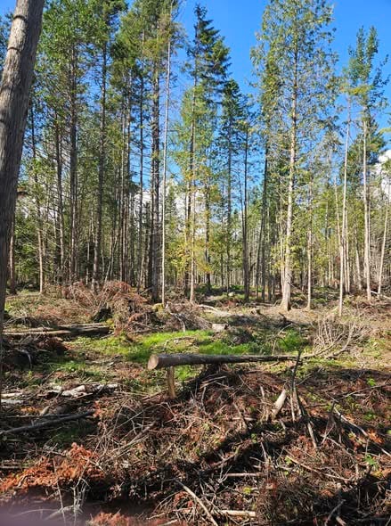 Groupement Forestier de Beauce 