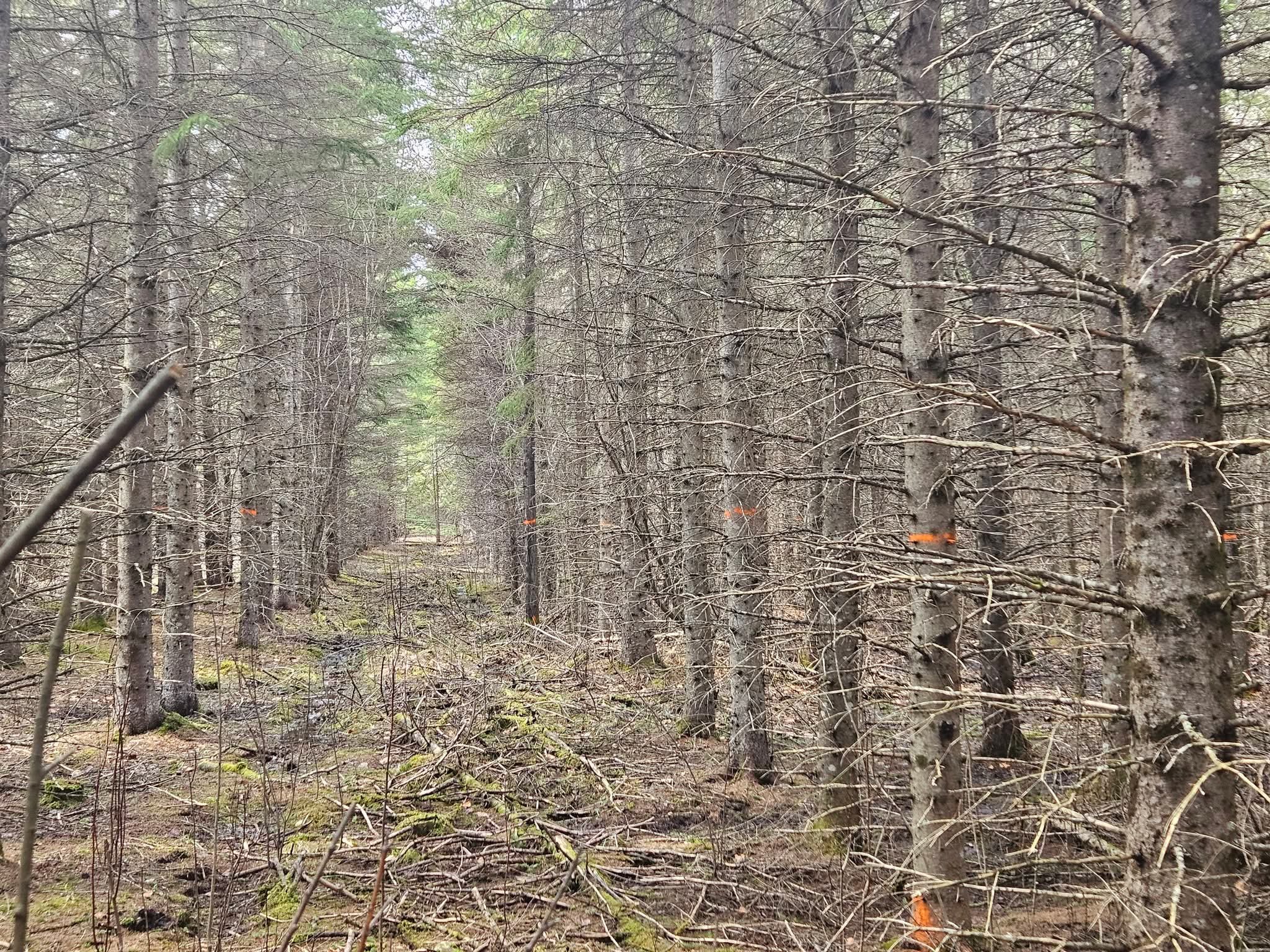 Groupement Forestier de Beauce 