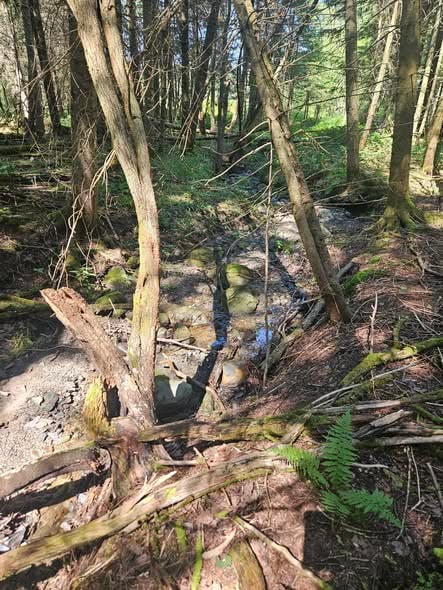 Groupement Forestier de Beauce 
