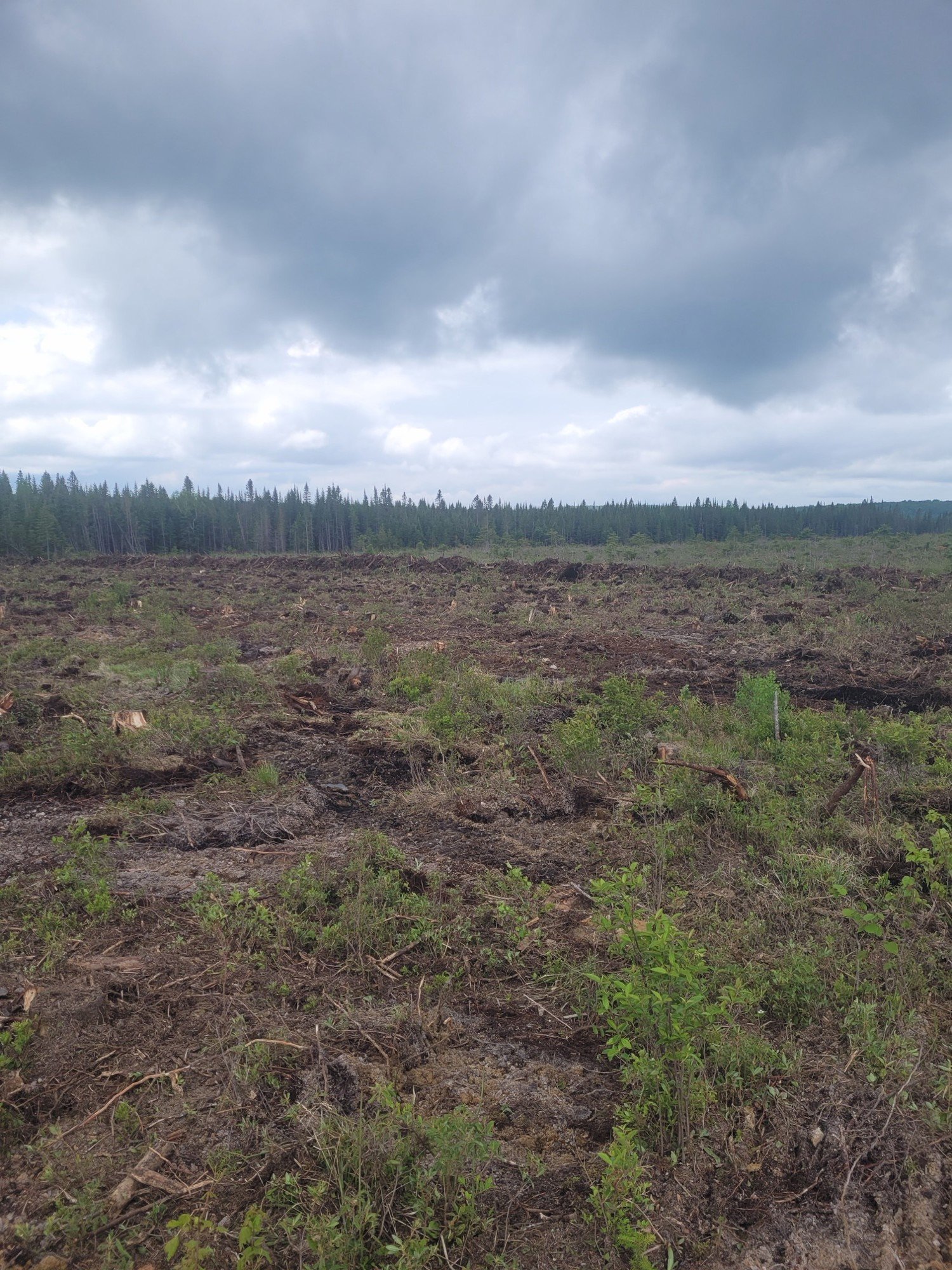 Groupement Forestier de Beauce 