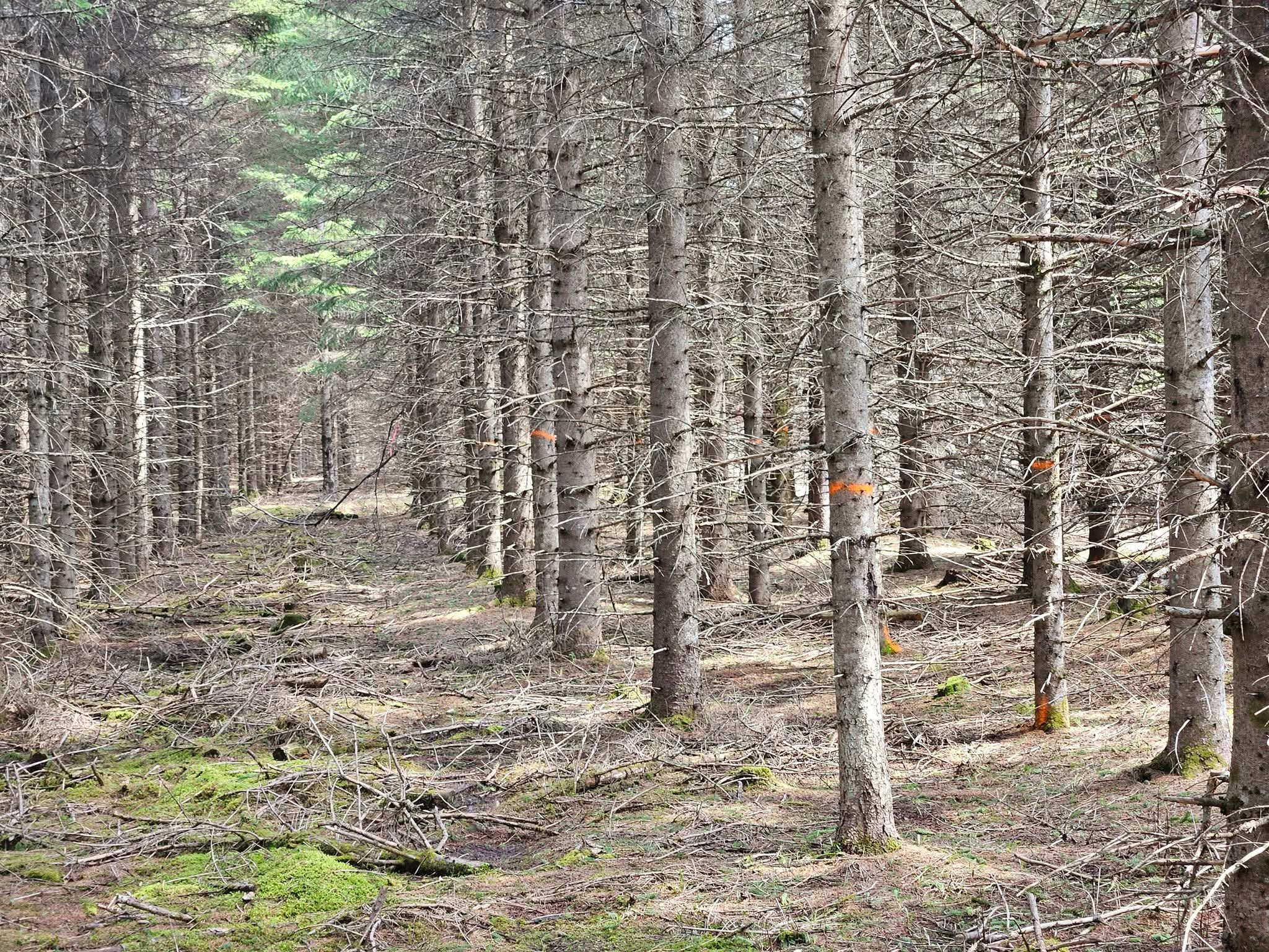 Groupement Forestier de Beauce 