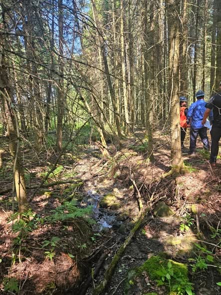 Groupement Forestier de Beauce 