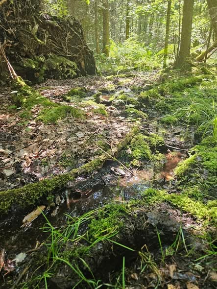 Groupement Forestier de Beauce 