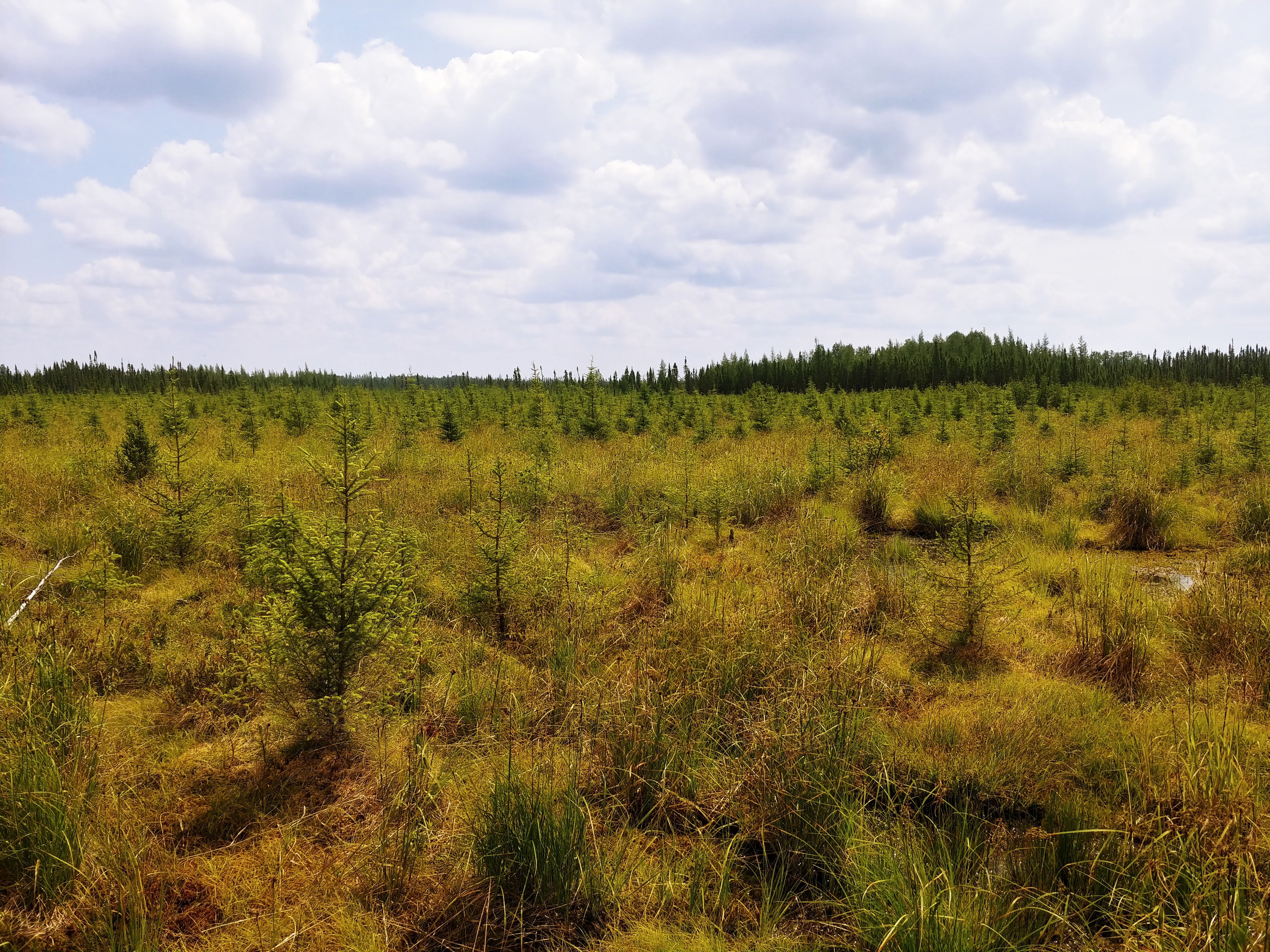 Groupement Forestier de Beauce 