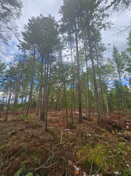 Groupement Forestier de Beauce 