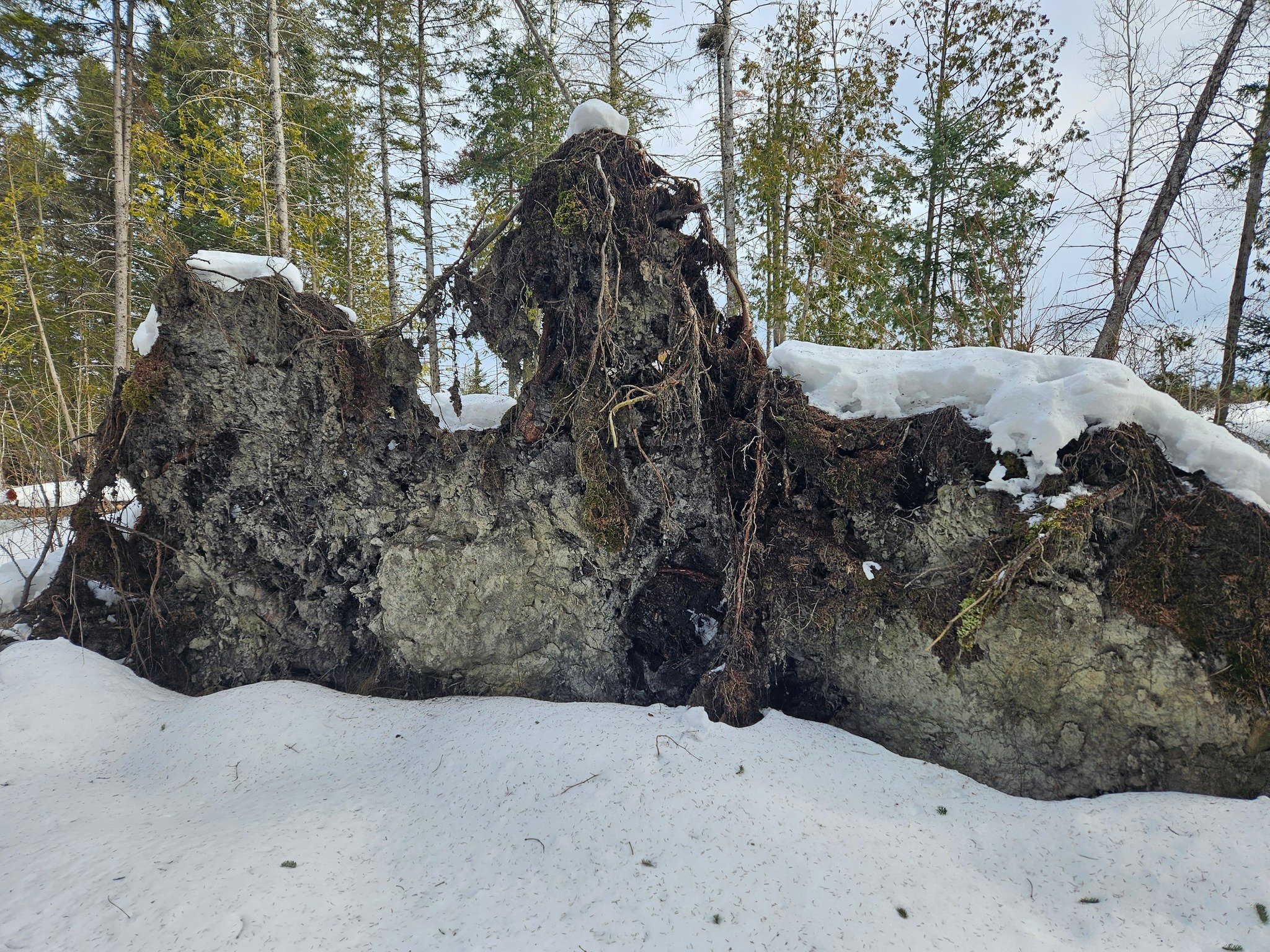 Groupement Forestier de Beauce 