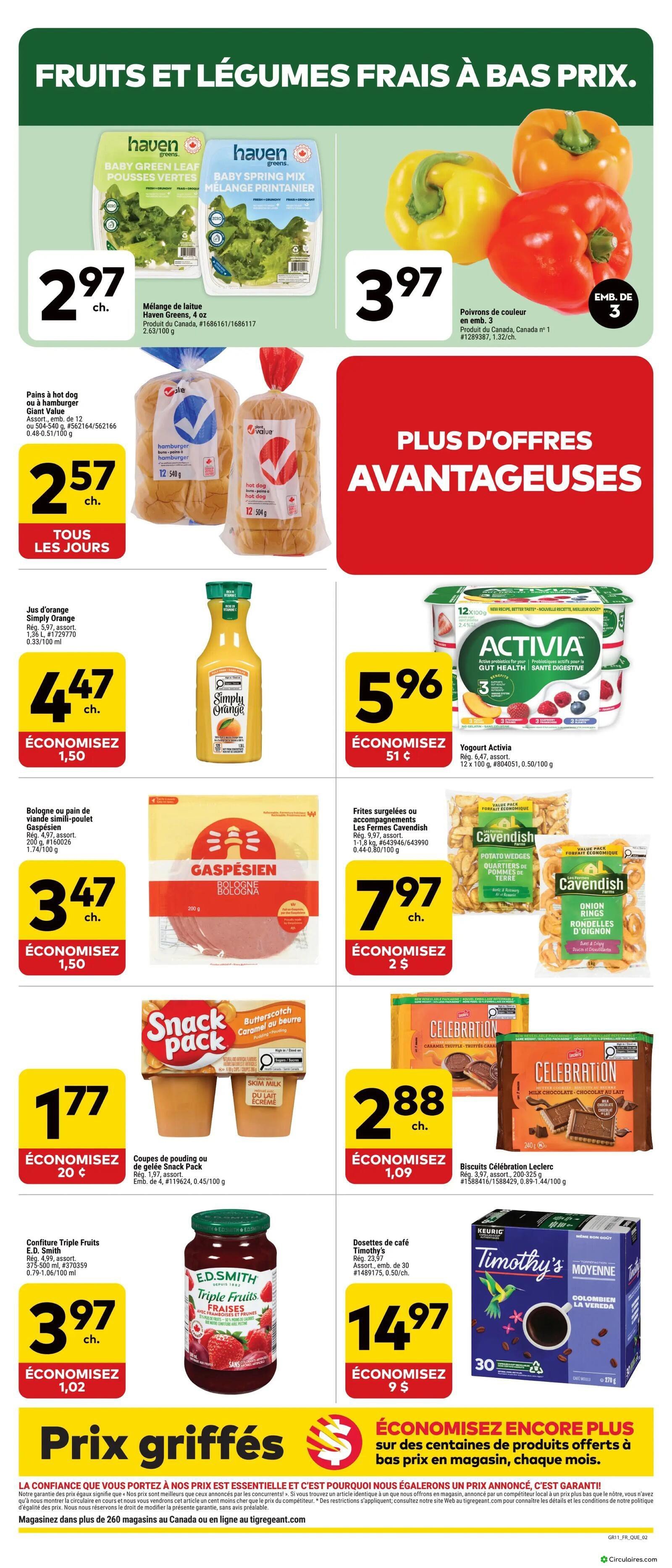 Tigre Géant