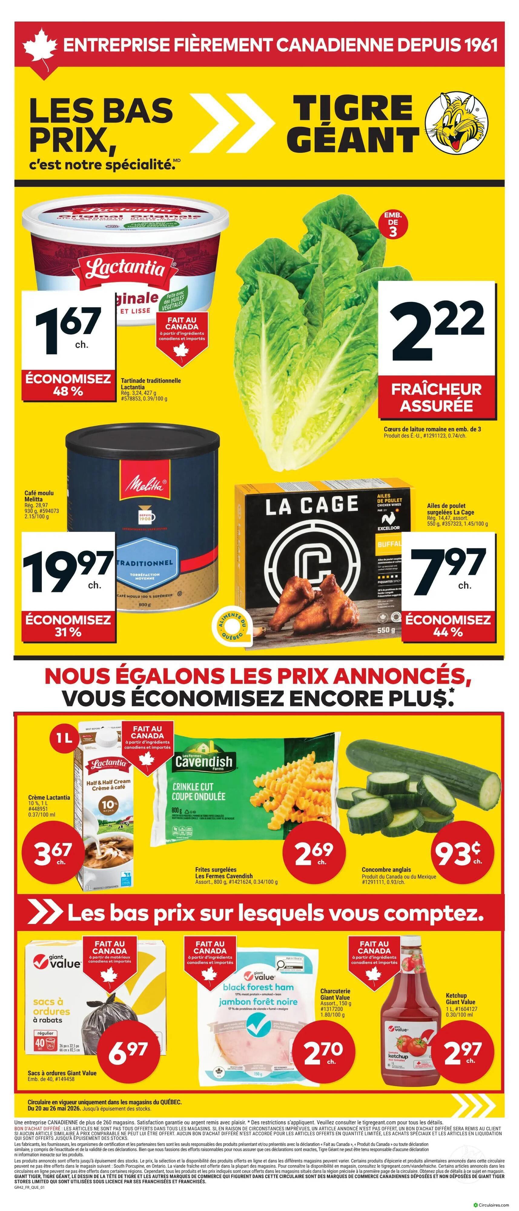 Tigre Géant