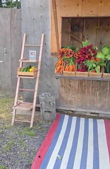 Miniature video Publio par La Pomme du cerf
