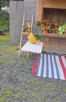 Miniature video Publio par La Pomme du cerf