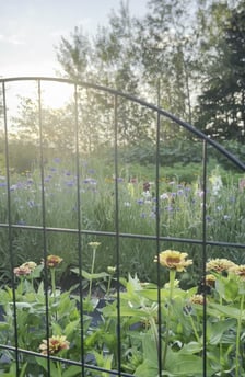 Miniature video Publio par Fermette Poulin-Fleurs