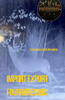 Miniature video Publio par Import Export Fourrures