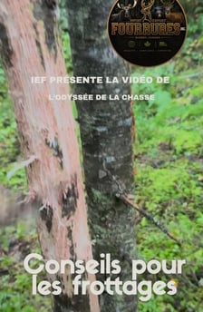 Miniature video Publio par Import Export Fourrures