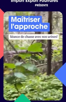Miniature video Publio par Import Export Fourrures