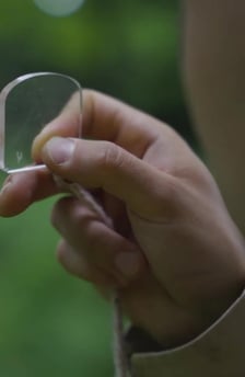 Miniature video Publio par Groupement Forestier de Beauce