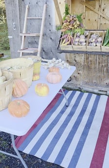 Miniature video Publio par La Pomme du cerf