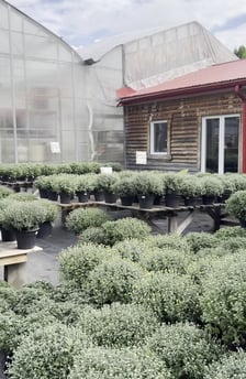 Miniature video Publio par Les Serres St-Georges - Botanix