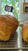 Publication image Boulangerie au Pain de Fesse